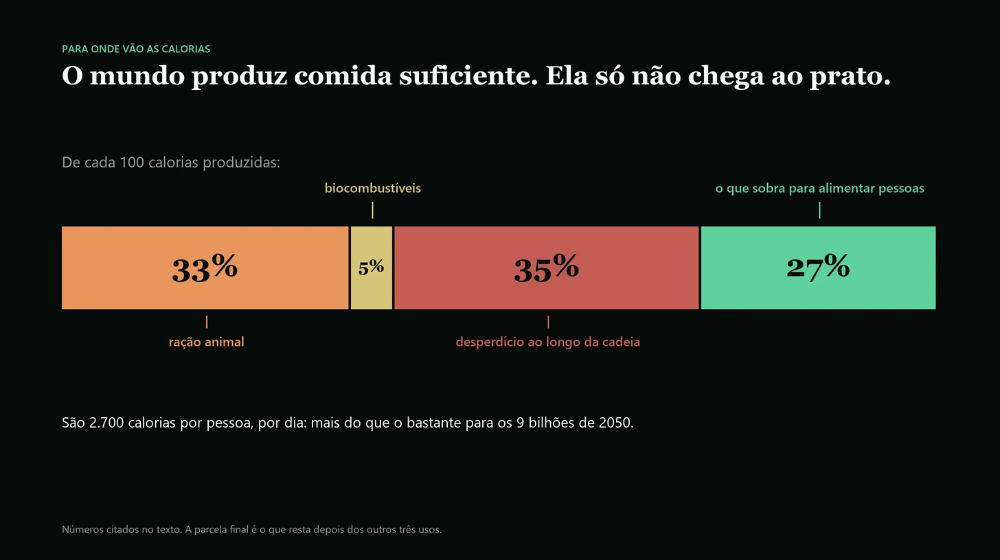 De cada 100 calorias produzidas, 33 viram ração animal, 5 biocombustíveis, 35 são desperdiçadas e 27 sobram para alimentar pessoas