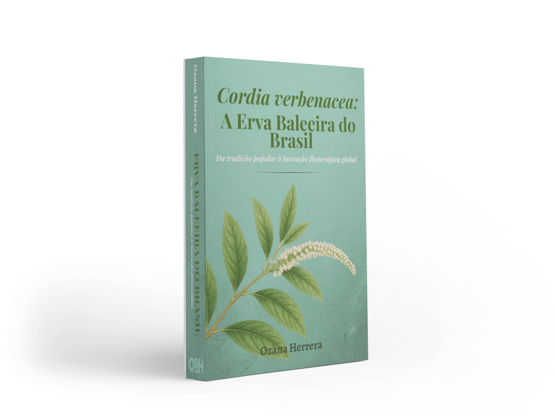 Cordia verbenacea
