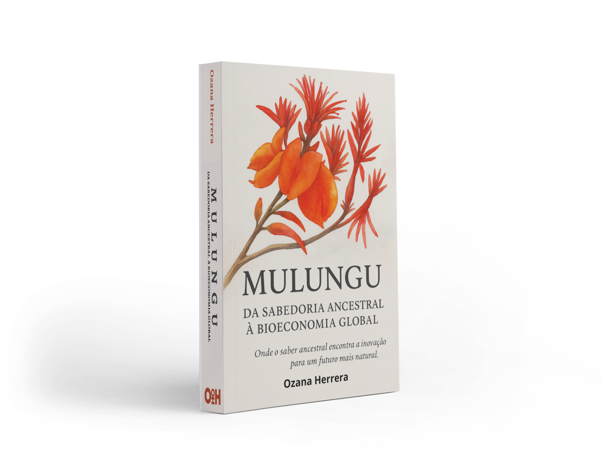 Mulungu